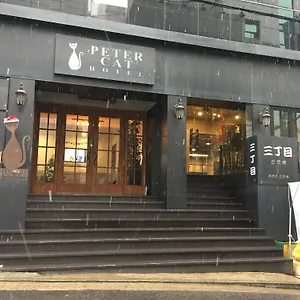 피터캣 신촌 호텔 서울특별시